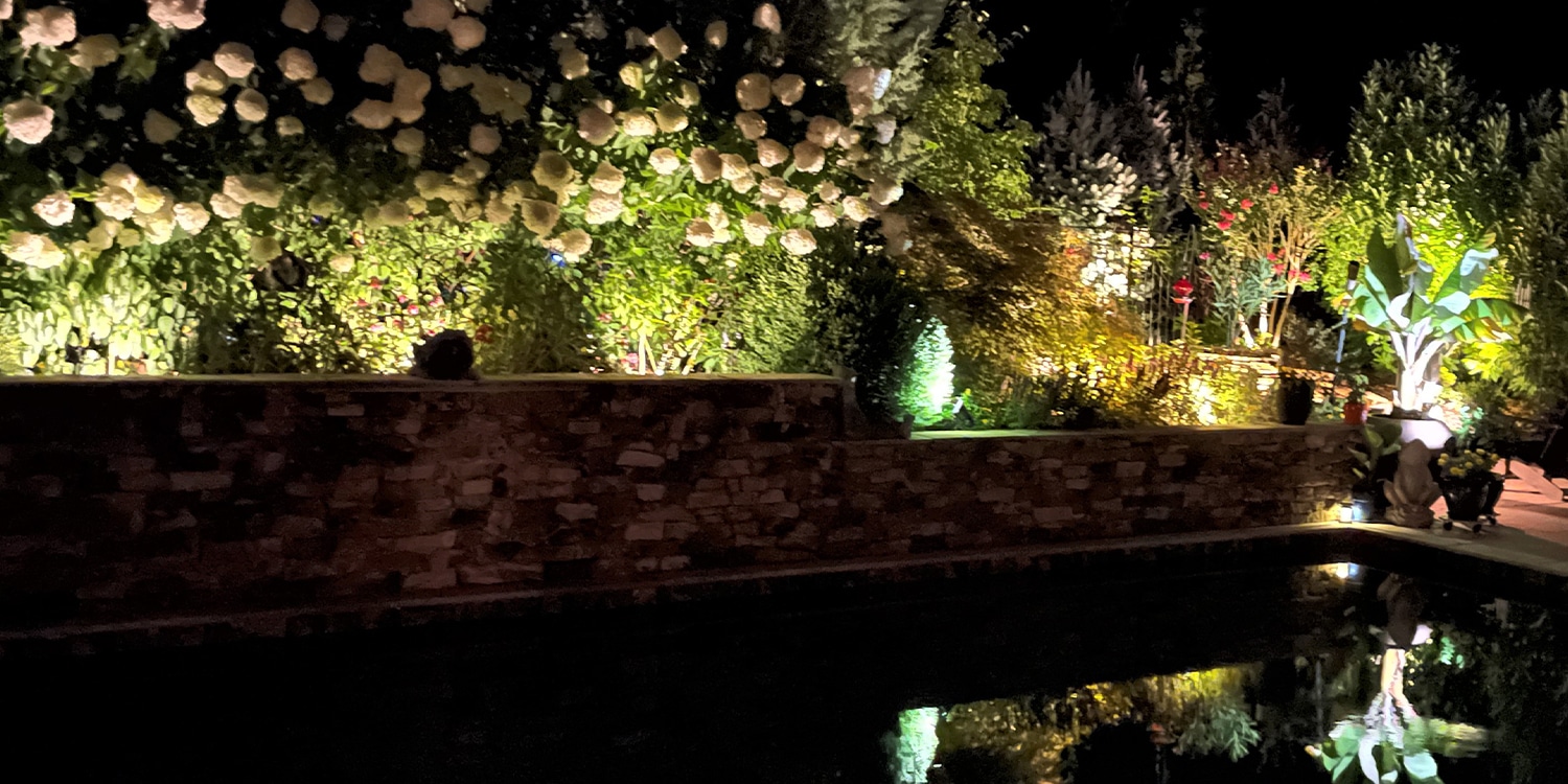 Outdoor Garden Lighting by the pool by Opportunity Landscapes and Nursery
