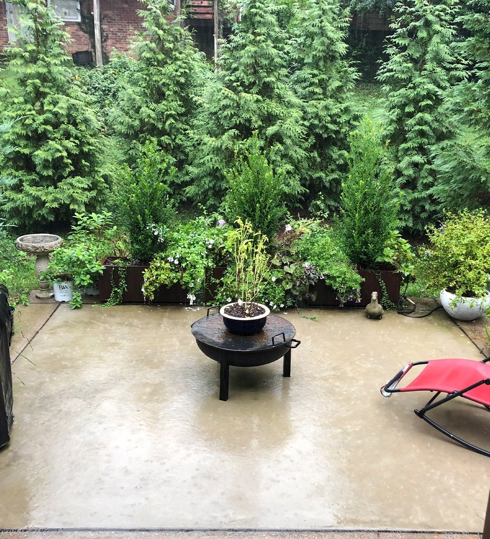 a bench in a seasonal enhanced garden