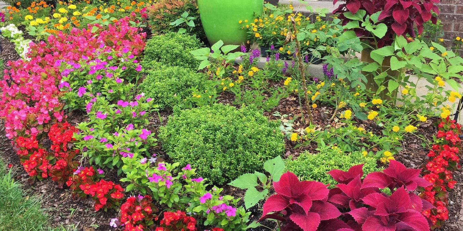 a large purple flower is in a garden