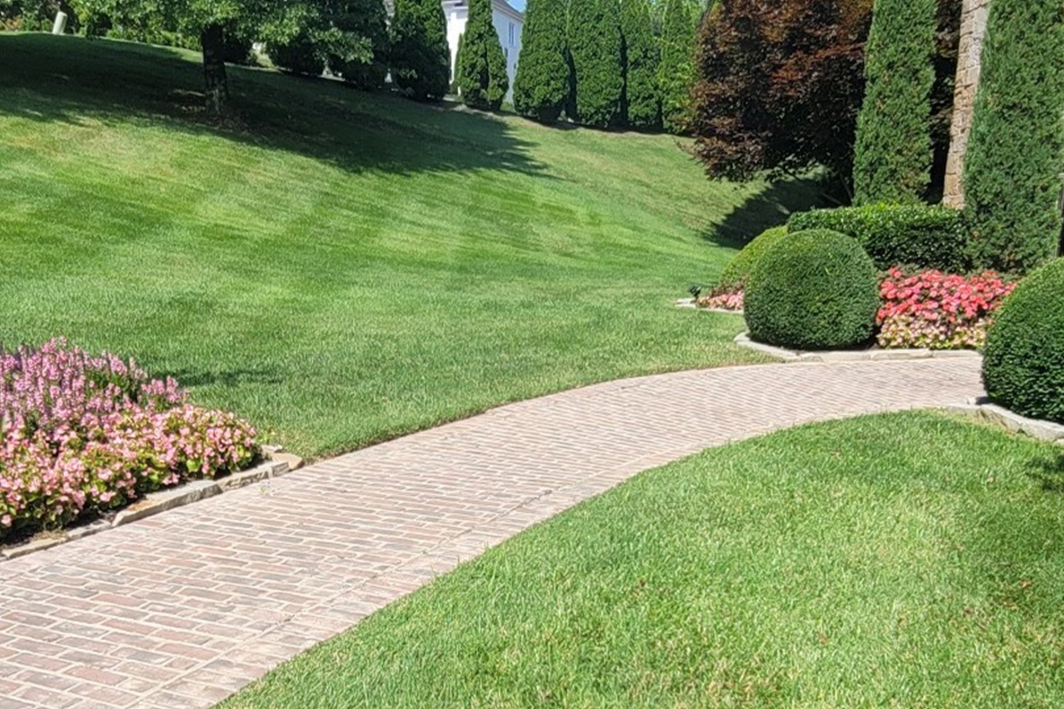 A freshly sodded and pruned yard with vibrant green grass in Nashville, TN by Opportunity Landscapes and Nursery